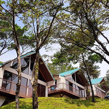 Green Forest Rustic Houses Monteverde Eksteriør billede