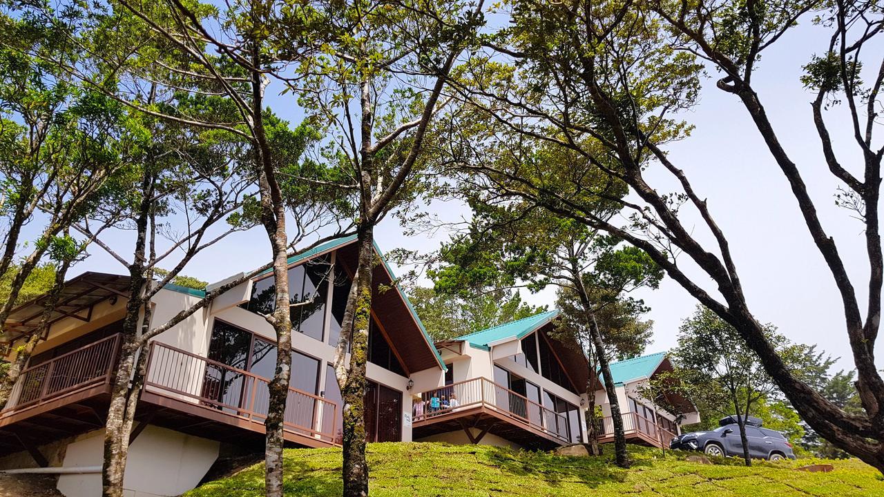 Green Forest Rustic Houses Monteverde Eksteriør billede